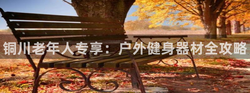 耀世平台注册开户流程：铜川老年人专享：户外健身器材全