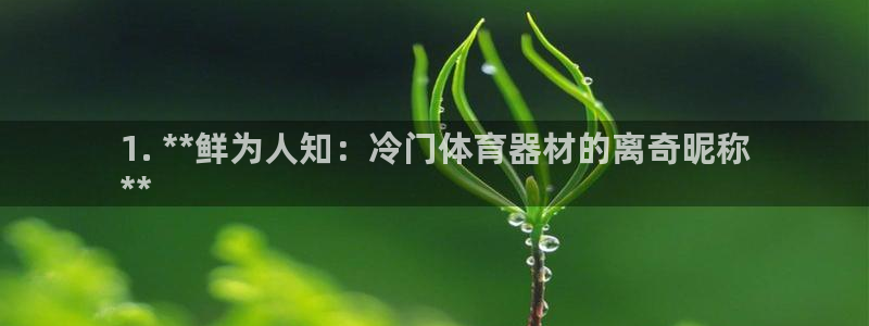 耀世雷霆下载：1. **鲜为人知：冷门体育器材的离奇