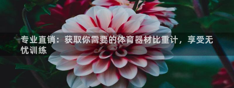 耀世娱乐佳 5O6917 娱乐：专业直销：获取你需要