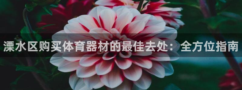 耀世天下的微信名字好吗：溧水区购买体育器材的最佳去处