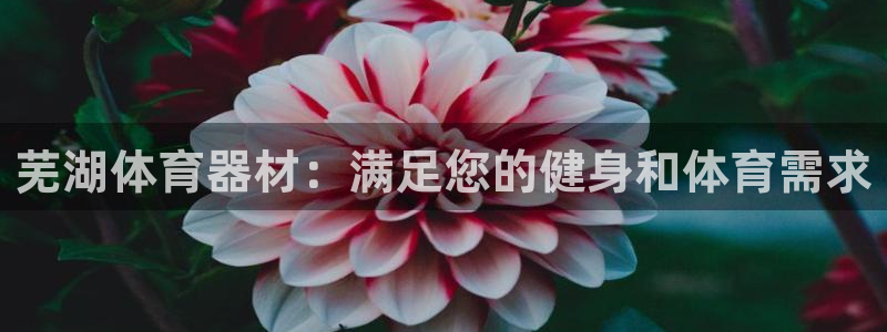 耀世娱乐是玛雅旗下的吗是真的吗：芜湖体育器材：满足您