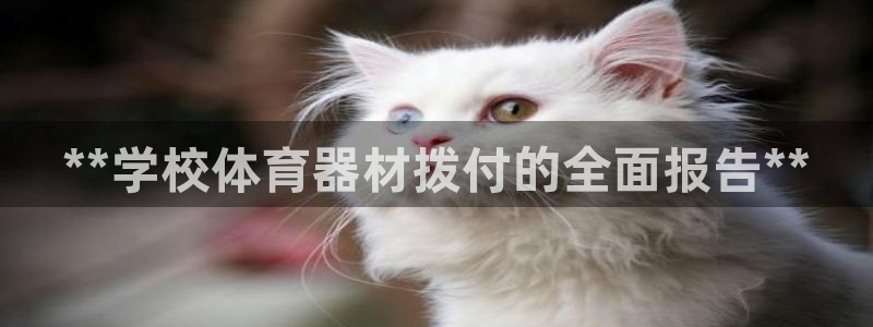 耀世平台日7O777：**学校体育器材拨付的全面报告