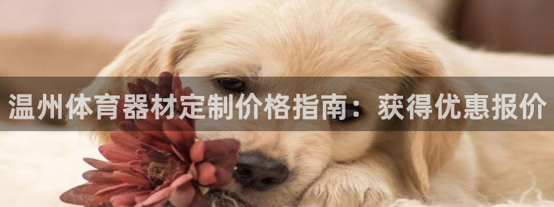 耀世平台代理怎么样：温州体育器材定制价格指南：获得优
