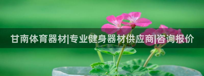 耀世国际平台正规吗可信吗安全吗：甘南体育器材|专业健