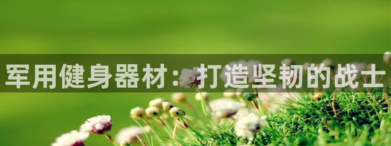 耀世天下是什么意思啊：军用健身器材：打造坚韧的战士
