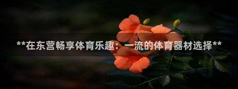 耀世娱乐登录地址在哪查：**在东营畅享体育乐趣：一流