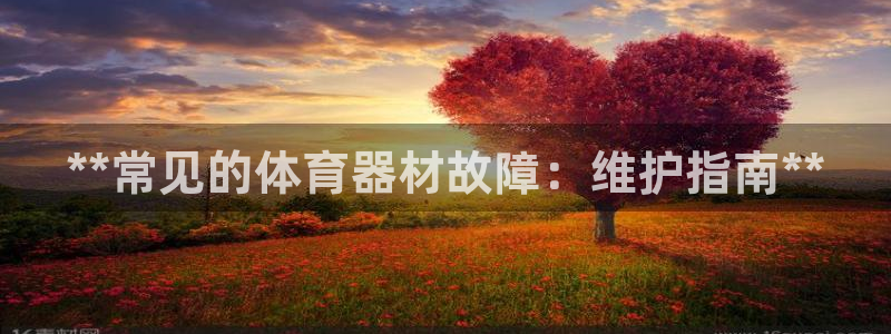 耀世娱乐注册开户流程：**常见的体育器材故障：维护指