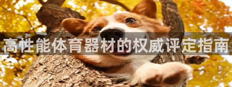 耀世官网：高性能体育器材的权威评定指南