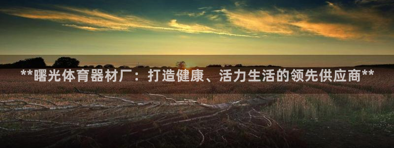 耀世娱乐登录注册流程：**曙光体育器材厂：打造健康、