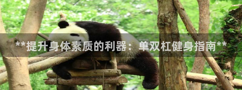 耀世平台总代理：**提升身体素质的利器：单双杠健身指