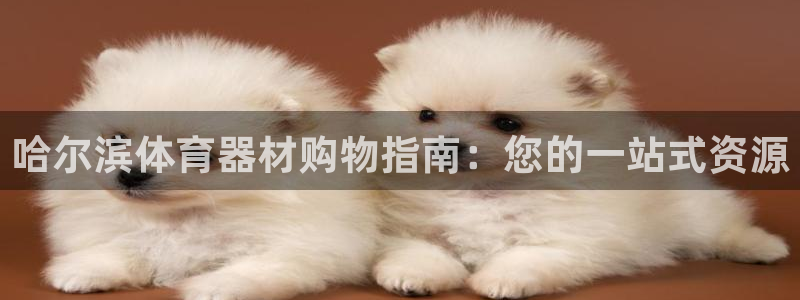 耀世娱乐软件下载：哈尔滨体育器材购物指南：您的一站式