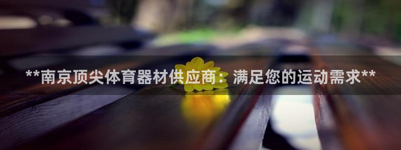 耀世登场之类的广告词：**南京顶尖体育器材供应商：满