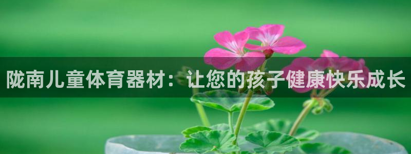 耀世娱乐是正规还是仿真：陇南儿童体育器材：让您的孩子