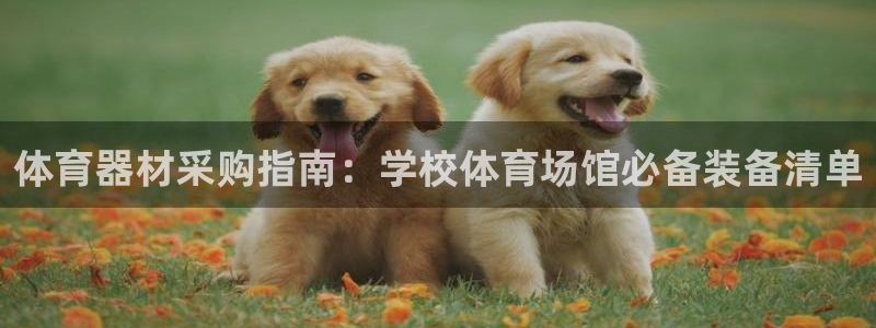 耀世平台可 585341 平台：体育器材采购指南：学