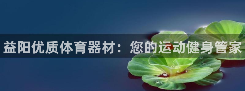 耀世平台的运营模式有哪些：益阳优质体育器材：您的运动