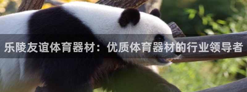 耀世集团视频介绍：乐陵友谊体育器材：优质体育器材的行