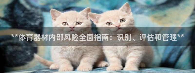 耀世娱乐价 411O31 耀世：**体育器材内部风险