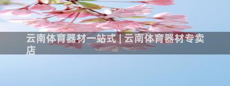 耀世集团耀宗：云南体育器材一站式 | 云南体育器材专