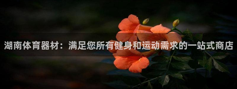 耀世平台的运营模式：湖南体育器材：满足您所有健身和运