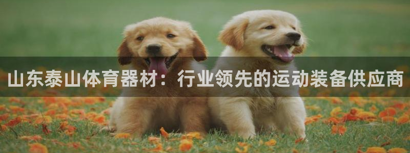 耀世平台注册流程：山东泰山体育器材：行业领先的运动装