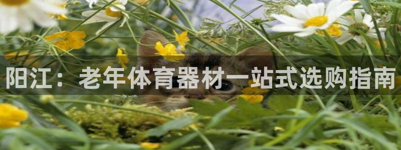 耀世娱乐软件下载官网：阳江：老年体育器材一站式选购指