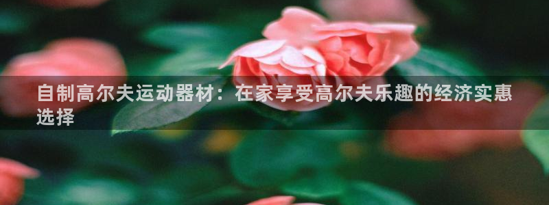 耀世娱乐辅助软件下载安装：自制高尔夫运动器材：在家享