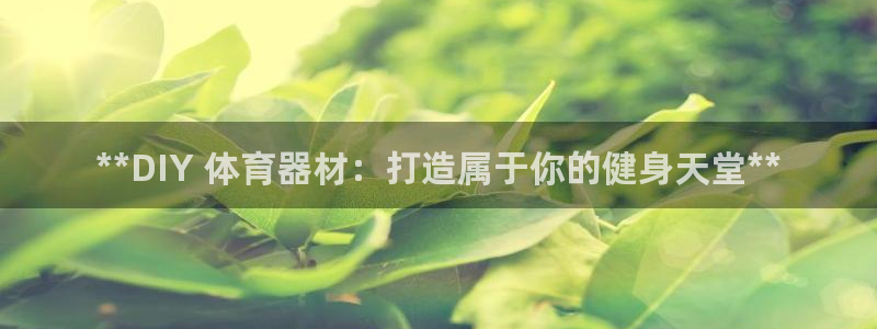 耀世娱乐软件下载安装：**DIY 体育器材：打造属于