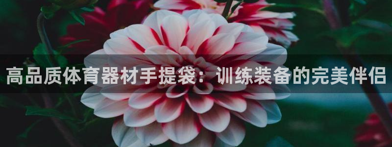 耀世娱乐辅助软件下载安装：高品质体育器材手提袋：训练