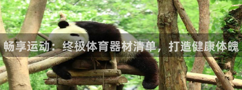 耀世娱乐app下载官网：畅享运动：终极体育器材清单，