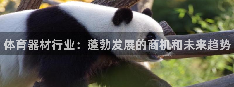 耀世平台注册最新地址查询：体育器材行业：蓬勃发展的商