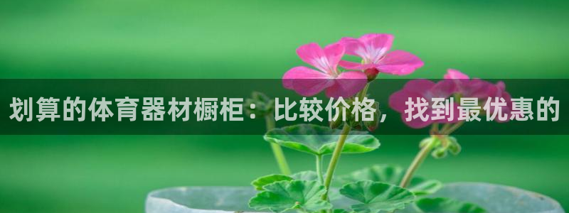 耀世平台注册步骤图片：划算的体育器材橱柜：比较价格，