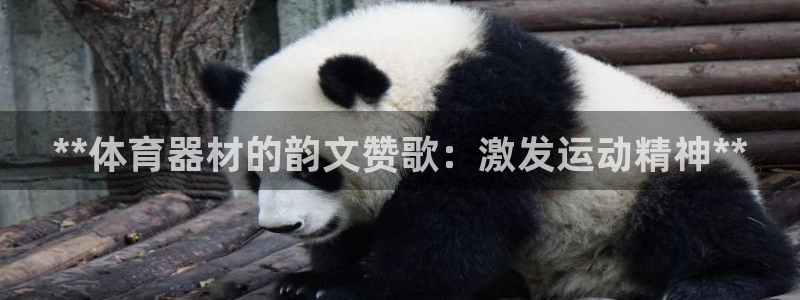 耀世娱乐赢咖6代理：**体育器材的韵文赞歌：激发运动