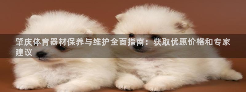 耀世娱乐挂机：肇庆体育器材保养与维护全面指南：获取优