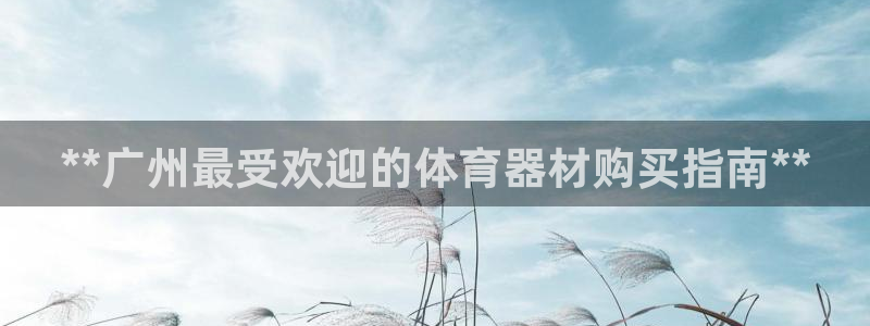 耀世平台的运营模式是什么：**广州最受欢迎的体育器材