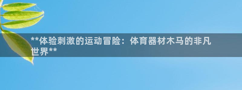耀世集团商业联盟罗文斌主任：**体验刺激的运动冒险：
