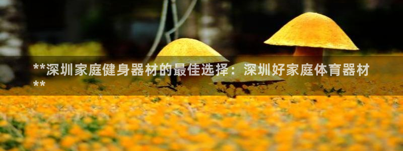 耀世娱乐代理什么待遇：**深圳家庭健身器材的最佳选择