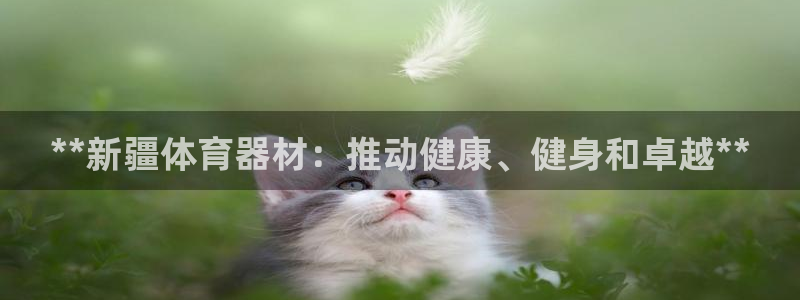 耀世娱乐圈主管什么：**新疆体育器材：推动健康、健身
