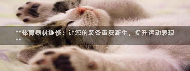 耀世平台佳 5O6917 耀世：**体育器材维修：让