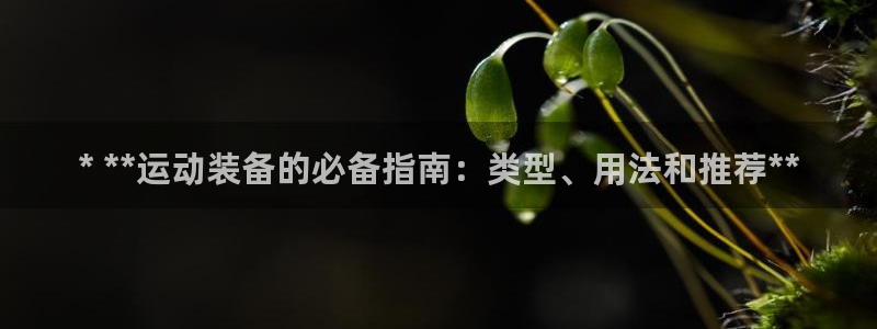 耀世集团是什么电影里的人物：* **运动装备的必备指