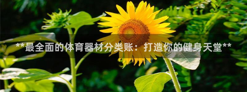 耀世平台最新注册地址：**最全面的体育器材分类账：打