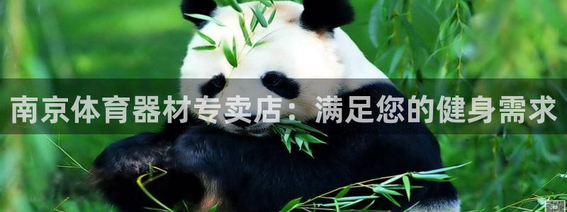 耀世娱乐家 411O31 耀世：南京体育器材专卖店：