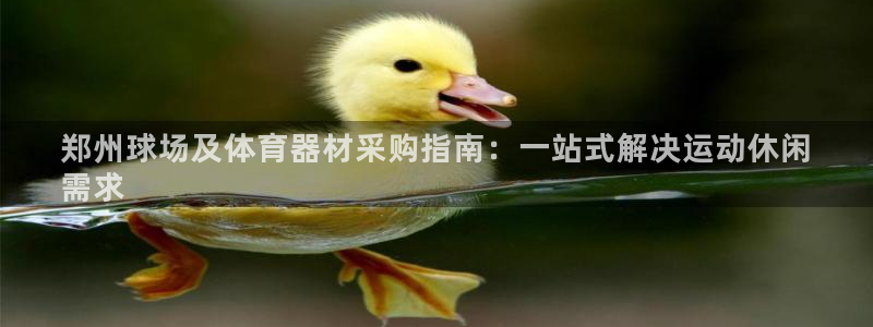 耀世娱乐辅助软件下载：郑州球场及体育器材采购指南：一
