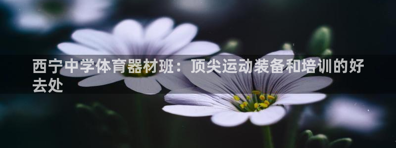 耀世娱乐合法吗：西宁中学体育器材班：顶尖运动装备和培