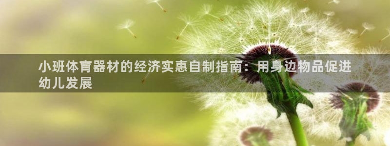 耀世平台注册链接：小班体育器材的经济实惠自制指南：用