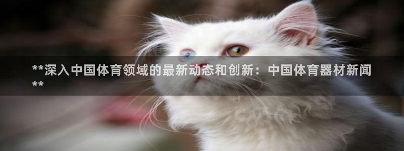 耀世集团是干嘛的企业啊：**深入中国体育领域的最新动