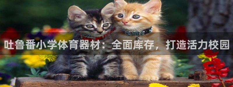 耀世平台官方网站：吐鲁番小学体育器材：全面库存，打造