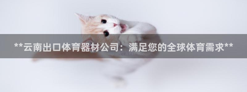 耀世平台话7O777：**云南出口体育器材公司：满足您的全球