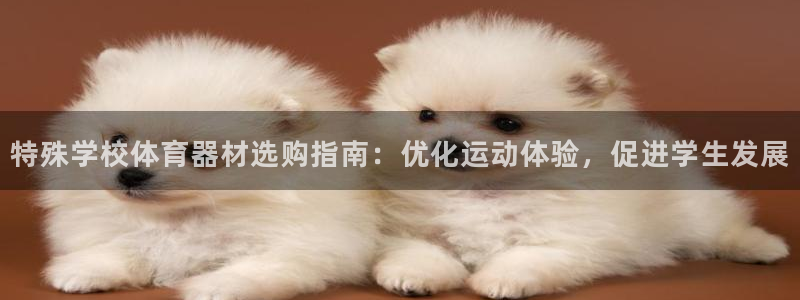 耀世平台招商：特殊学校体育器材选购指南：优化运动体验