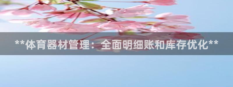 耀世登场的图片：**体育器材管理：全面明细账和库存优