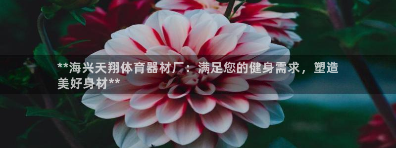 耀世娱乐登入：**海兴天翔体育器材厂：满足您的健身需